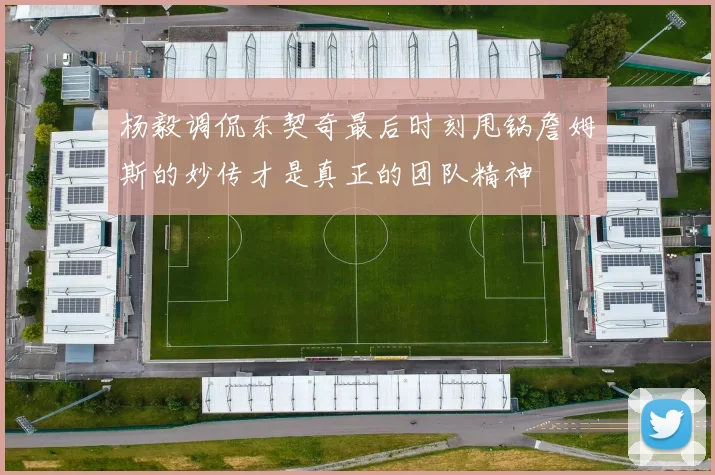 杨毅调侃东契奇最后时刻甩锅詹姆斯的妙传才是真正的团队精神