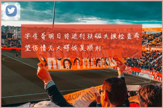 字母哥明日将进行核磁共振检查希望伤情无大碍恢复顺利