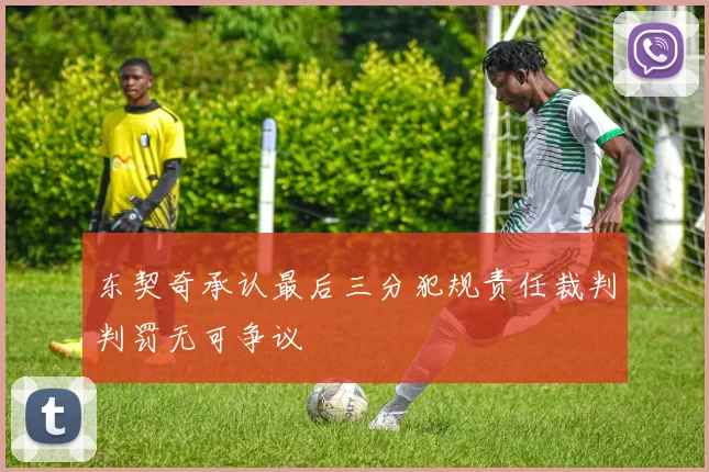东契奇承认最后三分犯规责任裁判判罚无可争议