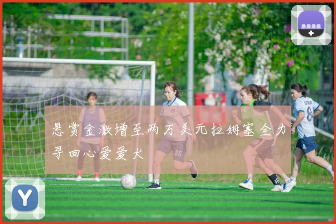 悬赏金激增至两万美元拉姆塞全力寻回心爱爱犬